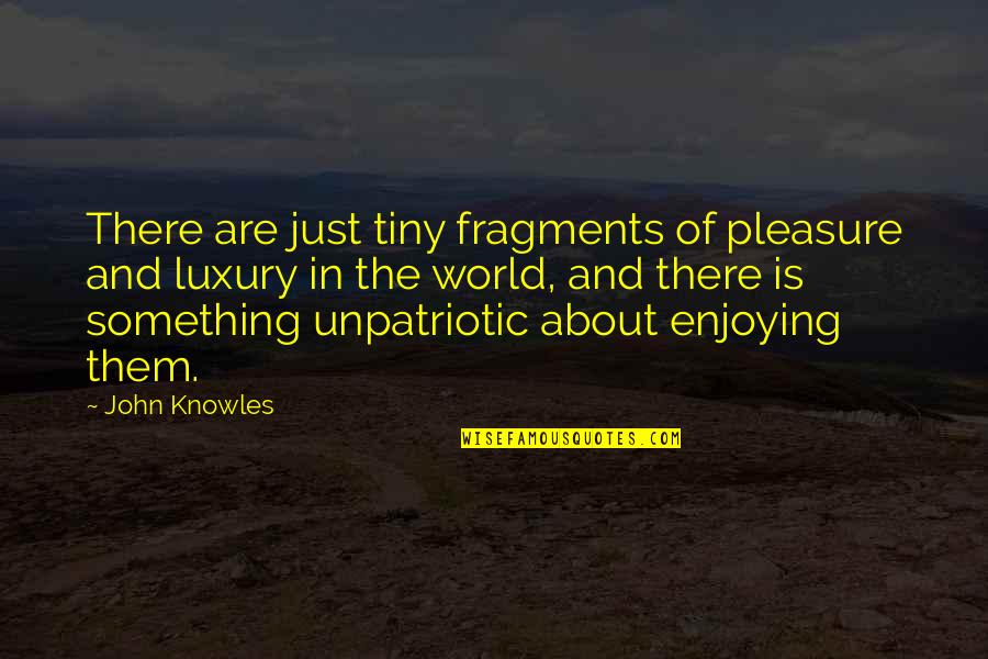 Midscream Quotes By John Knowles: There are just tiny fragments of pleasure and