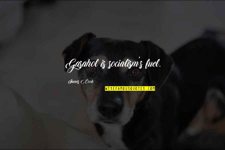 Midsentence Quotes By James Cook: Gasahol is socialism's fuel. Midsentence Quotes By James Cook: Gasahol is socialism's fuel.
