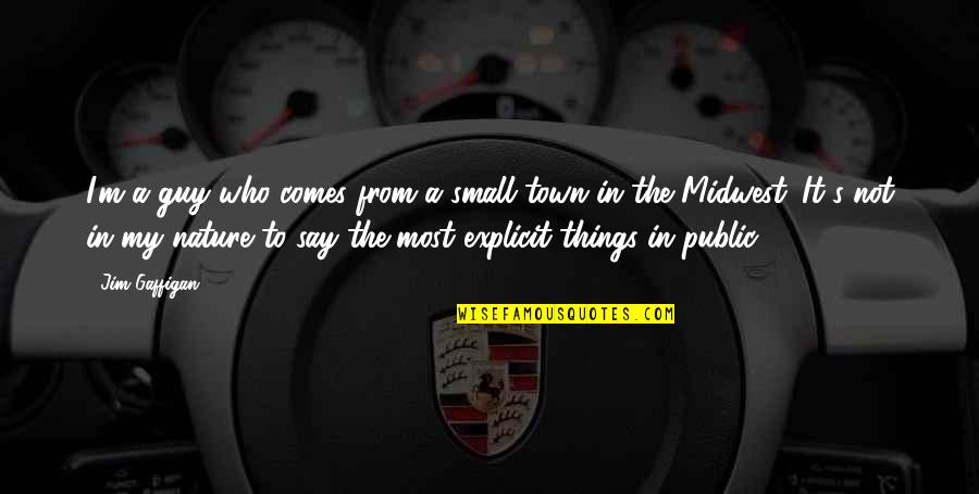 Midwest Quotes By Jim Gaffigan: I'm a guy who comes from a small