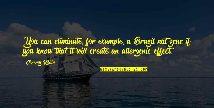 Mientayquetoi Quotes By Jeremy Rifkin: You can eliminate, for example, a Brazil nut Mientayquetoi Quotes By Jeremy Rifkin: You can eliminate, for example, a Brazil nut