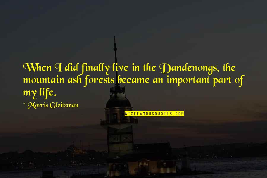 Mientes Letra Quotes By Morris Gleitzman: When I did finally live in the Dandenongs, Mientes Letra Quotes By Morris Gleitzman: When I did finally live in the Dandenongs,