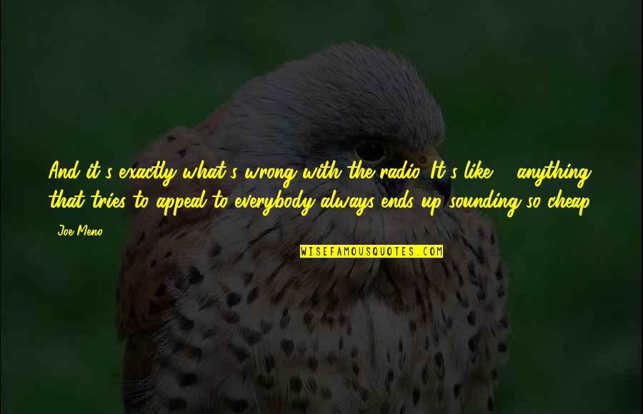 Mierzy Grunty Quotes By Joe Meno: And it's exactly what's wrong with the radio.
