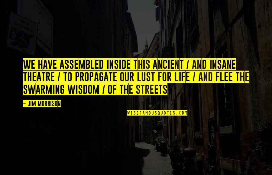 Miftahul Quotes By Jim Morrison: We have assembled inside this ancient / and