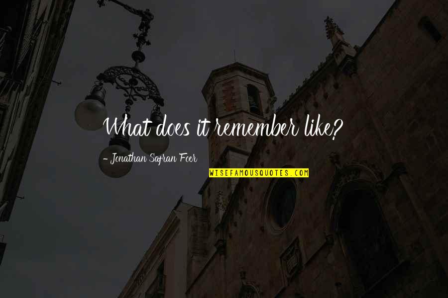 Mighted Quotes By Jonathan Safran Foer: What does it remember like?