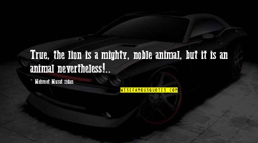 Mighty Lion Quotes By Mehmet Murat Ildan: True, the lion is a mighty, noble animal,