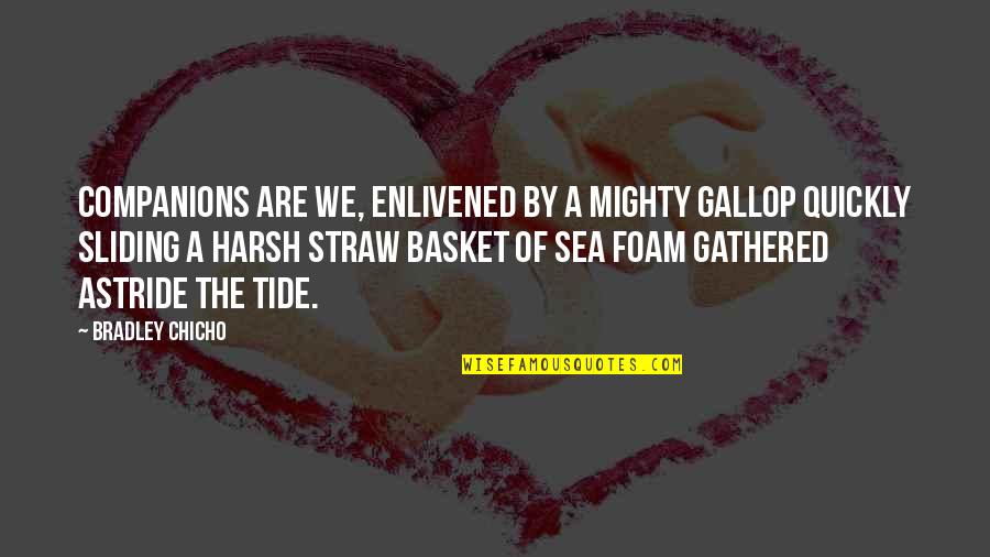 Mighty Quotes By Bradley Chicho: Companions are we, enlivened by a mighty gallop Mighty Quotes By Bradley Chicho: Companions are we, enlivened by a mighty gallop