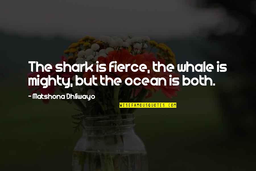 Mighty Quotes By Matshona Dhliwayo: The shark is fierce, the whale is mighty,