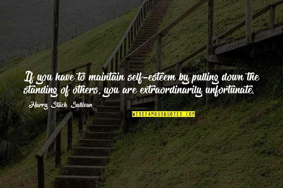 Migliozzi Massachusetts Quotes By Harry Stack Sullivan: If you have to maintain self-esteem by pulling