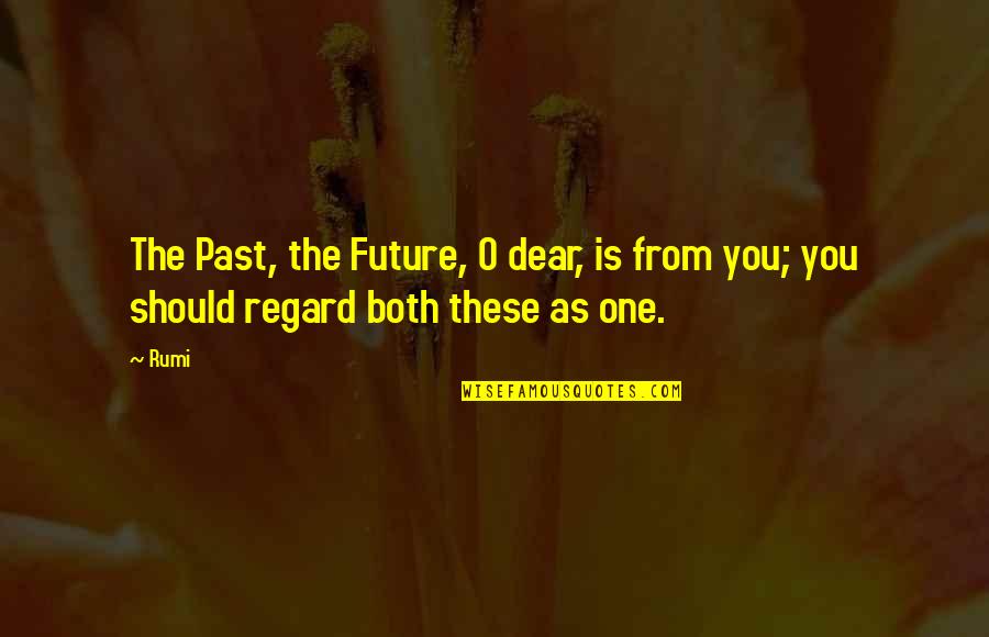 Mignificent Quotes By Rumi: The Past, the Future, O dear, is from