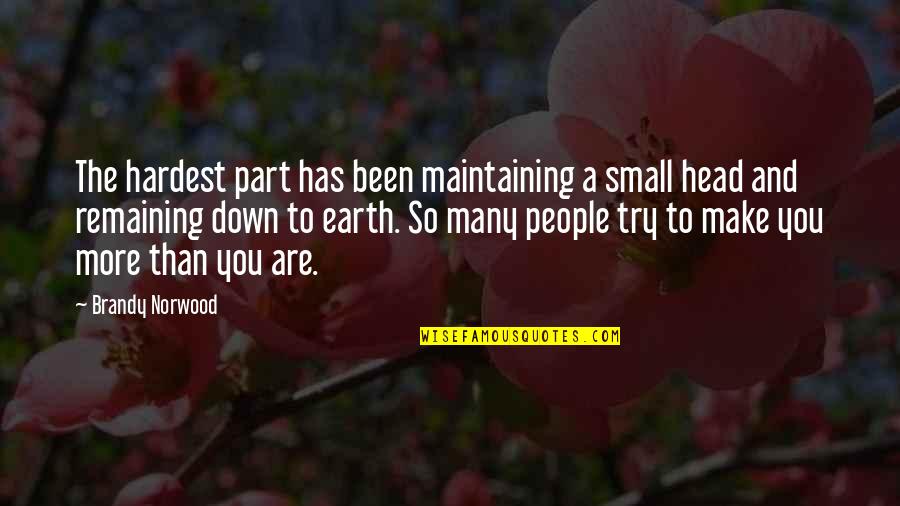Migranoid Quotes By Brandy Norwood: The hardest part has been maintaining a small