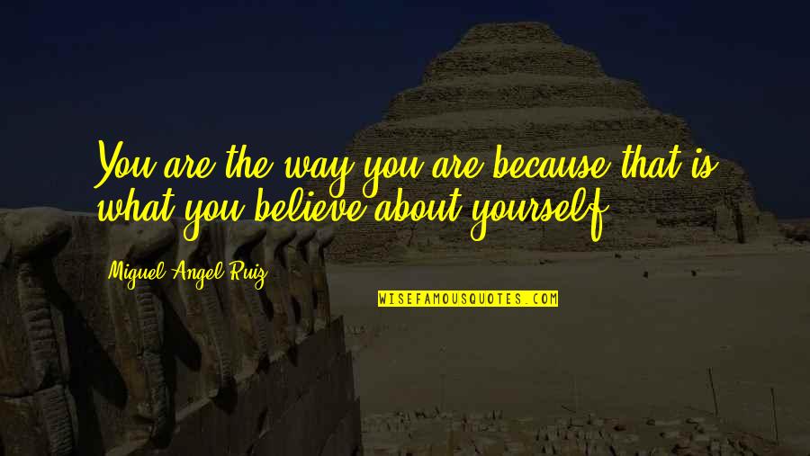 Miguel Angel Quotes By Miguel Angel Ruiz: You are the way you are because that