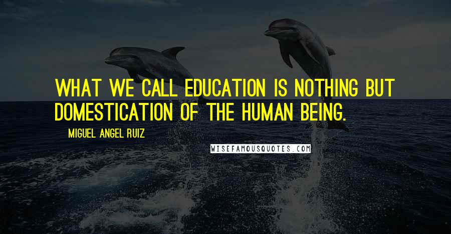 Miguel Angel Ruiz quotes: What we call education is nothing but domestication of the human being.