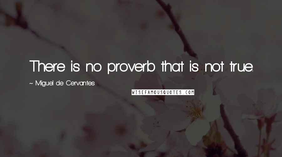 Miguel De Cervantes quotes: There is no proverb that is not true.