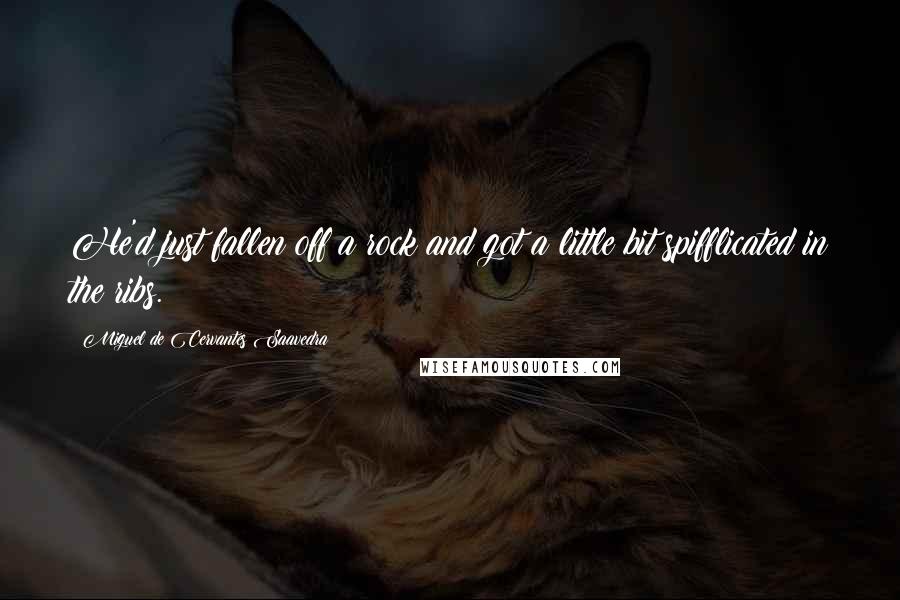 Miguel De Cervantes Saavedra quotes: He'd just fallen off a rock and got a little bit spifflicated in the ribs. Miguel De Cervantes Saavedra quotes: He'd just fallen off a rock and got a little bit spifflicated in the ribs.