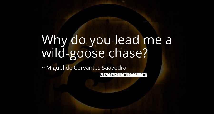 Miguel De Cervantes Saavedra quotes: Why do you lead me a wild-goose chase?