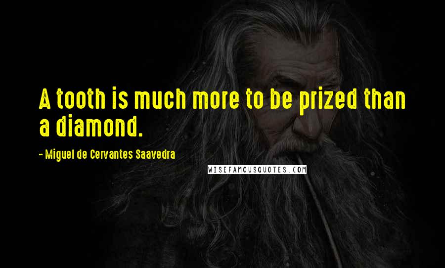 Miguel De Cervantes Saavedra quotes: A tooth is much more to be prized than a diamond. Miguel De Cervantes Saavedra quotes: A tooth is much more to be prized than a diamond.