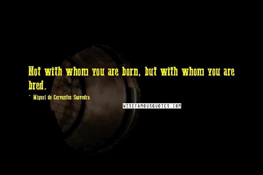 Miguel De Cervantes Saavedra quotes: Not with whom you are born, but with whom you are bred.