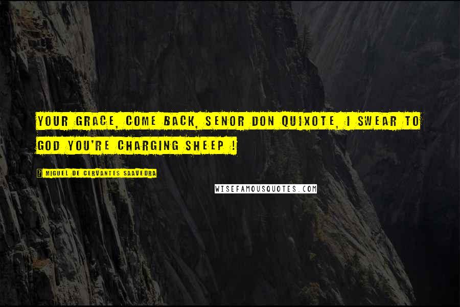 Miguel De Cervantes Saavedra quotes: Your grace, come back, Senor Don Quixote, I swear to God you're charging sheep ! Miguel De Cervantes Saavedra quotes: Your grace, come back, Senor Don Quixote, I swear to God you're charging sheep !