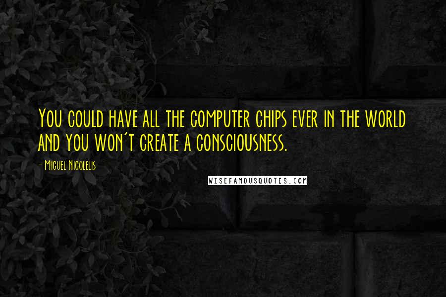 Miguel Nicolelis quotes: You could have all the computer chips ever in the world and you won't create a consciousness.