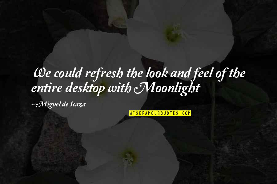 Miguel Quotes By Miguel De Icaza: We could refresh the look and feel of