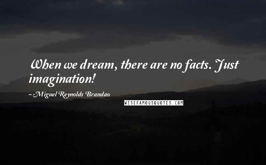 Miguel Reynolds Brandao quotes: When we dream, there are no facts. Just imagination!