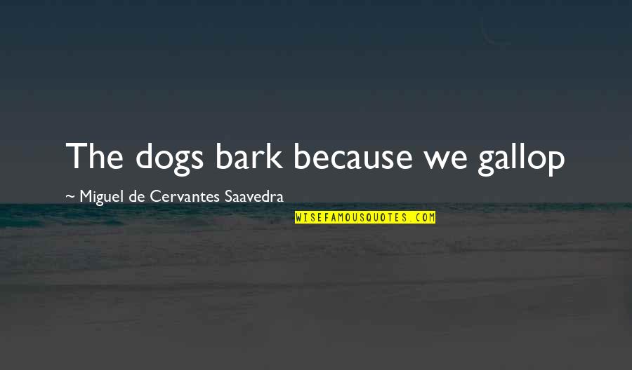 Miguel Saavedra Quotes By Miguel De Cervantes Saavedra: The dogs bark because we gallop Miguel Saavedra Quotes By Miguel De Cervantes Saavedra: The dogs bark because we gallop