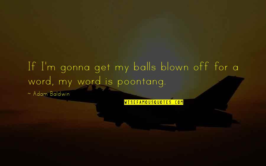 Mih Lovics Adr S Mill S Reggeli Quotes By Adam Baldwin: If I'm gonna get my balls blown off