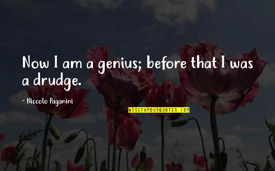 Mihadarati Jicho Quotes By Niccolo Paganini: Now I am a genius; before that I