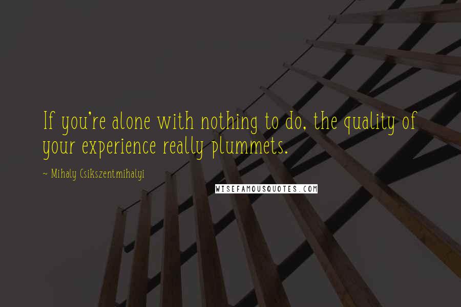Mihaly Csikszentmihalyi quotes: If you're alone with nothing to do, the quality of your experience really plummets.