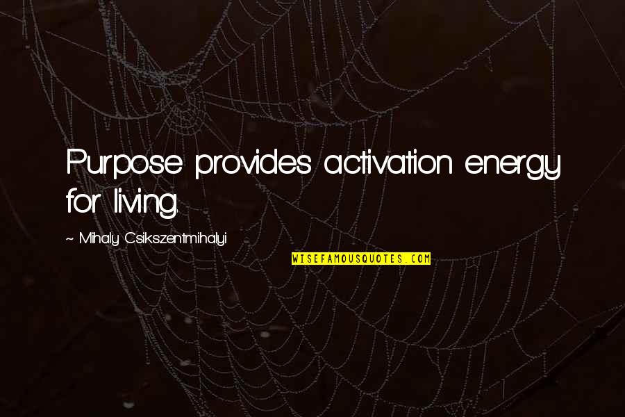 Mihaly Quotes By Mihaly Csikszentmihalyi: Purpose provides activation energy for living.