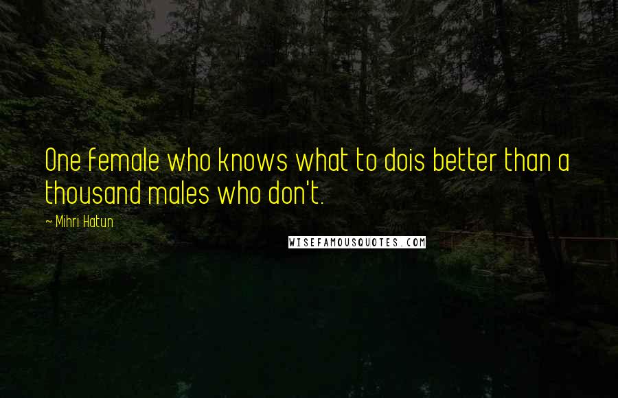 Mihri Hatun quotes: One female who knows what to dois better than a thousand males who don't.