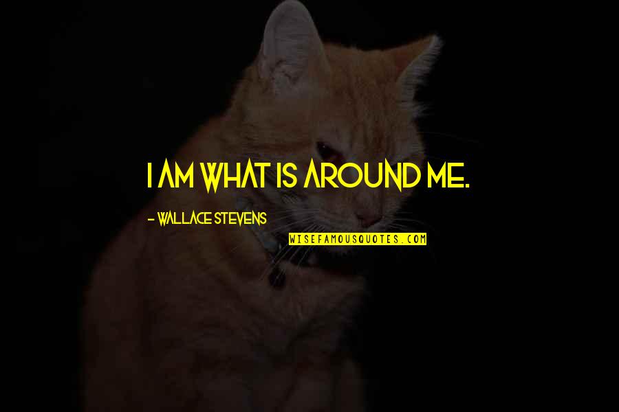 Mijuskovic Ekof Quotes By Wallace Stevens: I am what is around me. Mijuskovic Ekof Quotes By Wallace Stevens: I am what is around me.