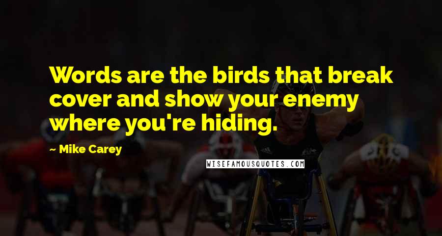 Mike Carey quotes: Words are the birds that break cover and show your enemy where you're hiding.