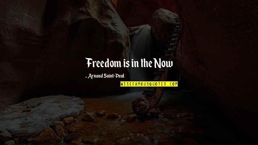 Mike Dirnt Quotes By Arnaud Saint-Paul: Freedom is in the Now