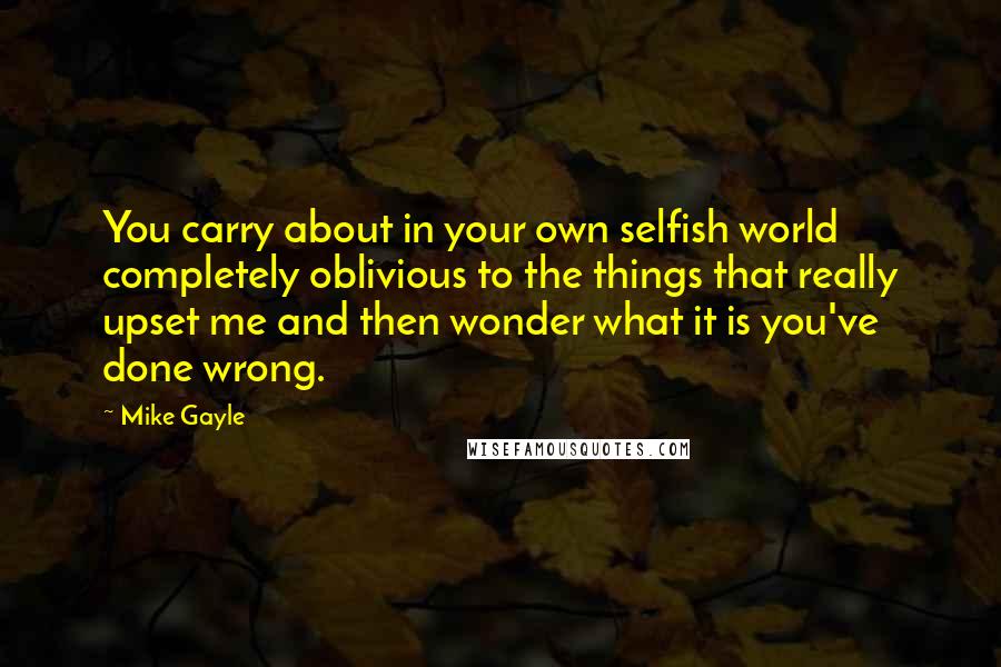 Mike Gayle quotes: You carry about in your own selfish world completely oblivious to the things that really upset me and then wonder what it is you've done wrong.