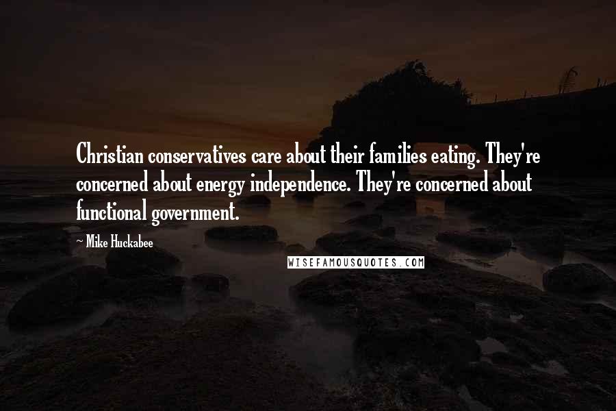 Mike Huckabee quotes: Christian conservatives care about their families eating. They're concerned about energy independence. They're concerned about functional government.