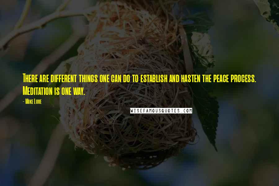 Mike Love quotes: There are different things one can do to establish and hasten the peace process. Meditation is one way. Mike Love quotes: There are different things one can do to establish and hasten the peace process. Meditation is one way.