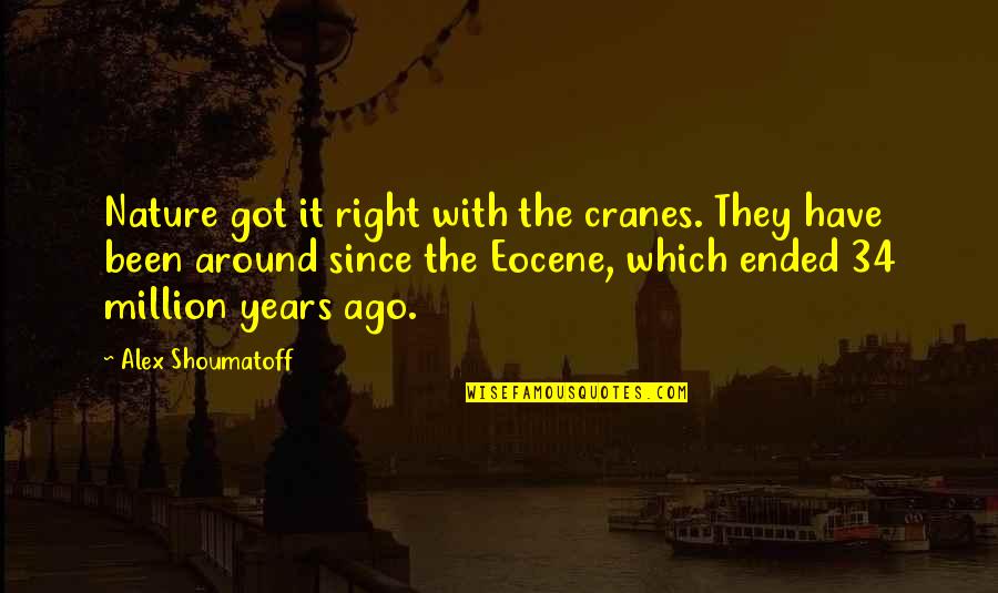 Mike Lupica Bat Boy Quotes By Alex Shoumatoff: Nature got it right with the cranes. They Mike Lupica Bat Boy Quotes By Alex Shoumatoff: Nature got it right with the cranes. They