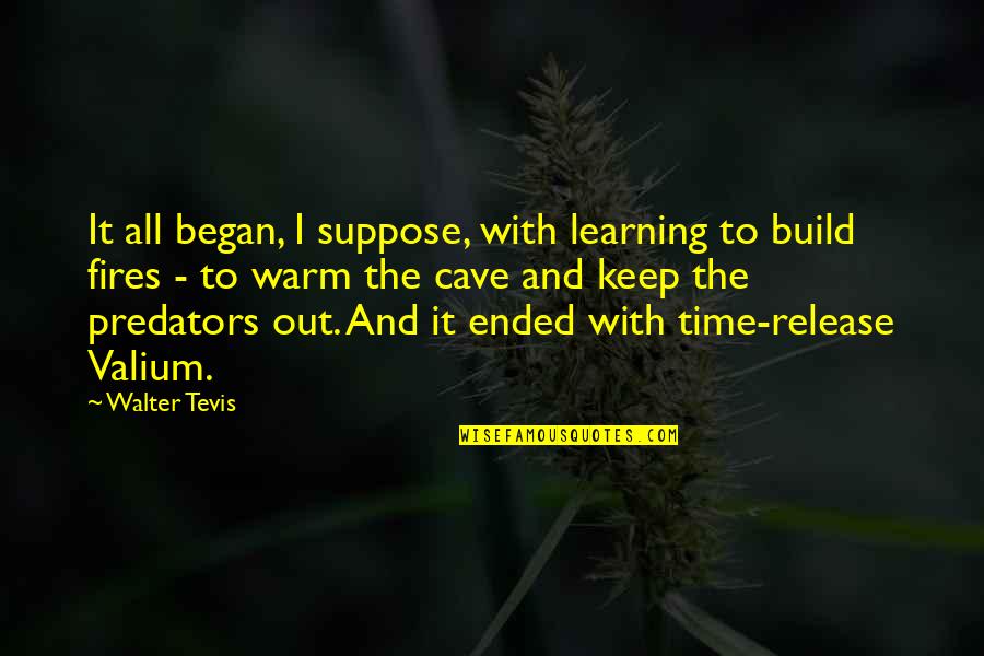 Mike Marjinal Quotes By Walter Tevis: It all began, I suppose, with learning to