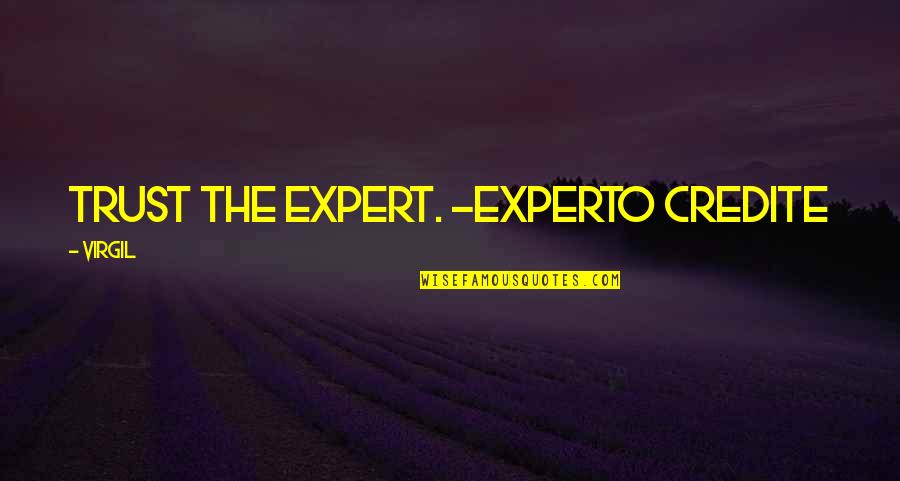 Mike Meekins Quotes By Virgil: Trust the expert. -Experto credite