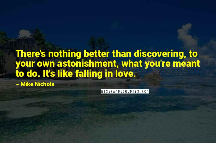 Mike Nichols quotes: There's nothing better than discovering, to your own astonishment, what you're meant to do. It's like falling in love.