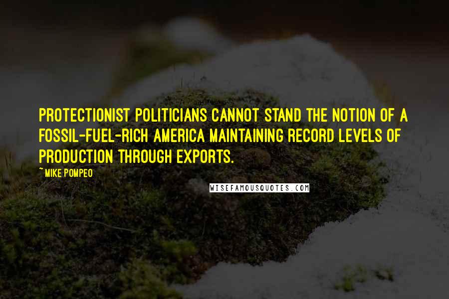 Mike Pompeo quotes: Protectionist politicians cannot stand the notion of a fossil-fuel-rich America maintaining record levels of production through exports.