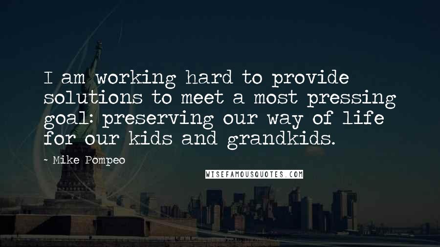 Mike Pompeo quotes: I am working hard to provide solutions to meet a most pressing goal: preserving our way of life for our kids and grandkids.