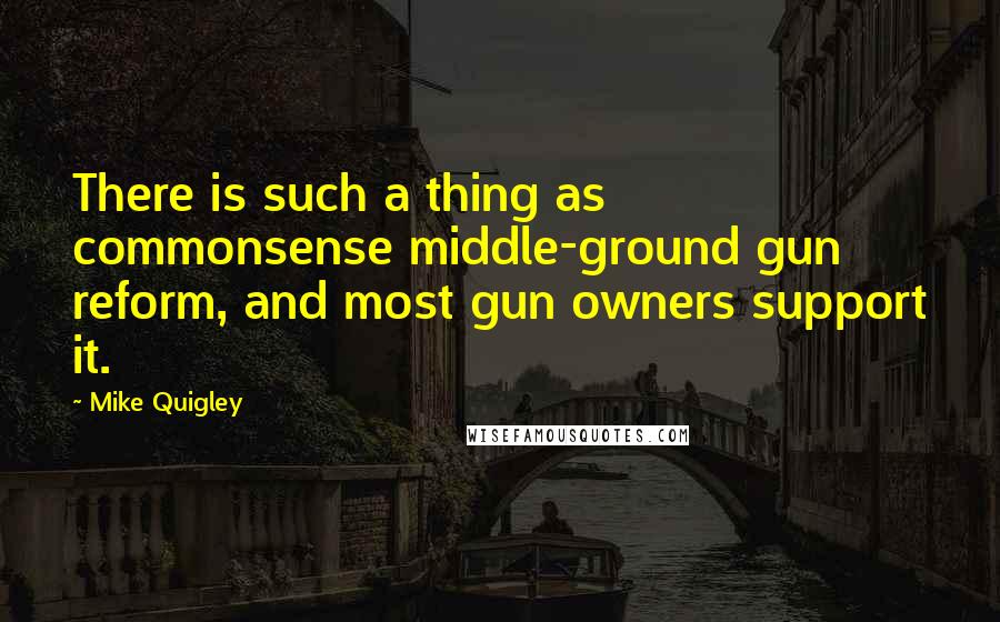 Mike Quigley quotes: There is such a thing as commonsense middle-ground gun reform, and most gun owners support it.