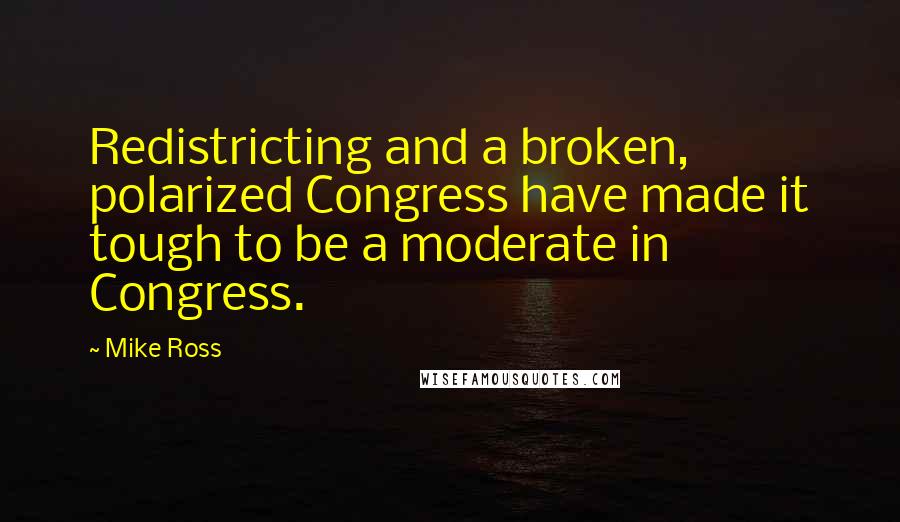 Mike Ross quotes: Redistricting and a broken, polarized Congress have made it tough to be a moderate in Congress.