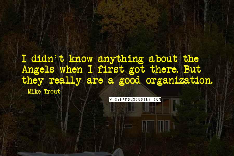 Mike Trout quotes: I didn't know anything about the Angels when I first got there. But they really are a good organization.