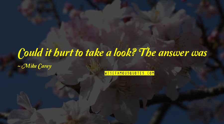 Mike's Quotes By Mike Carey: Could it hurt to take a look? The