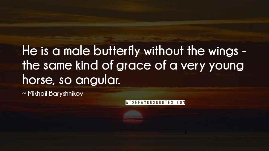 Mikhail Baryshnikov quotes: He is a male butterfly without the wings - the same kind of grace of a very young horse, so angular. Mikhail Baryshnikov quotes: He is a male butterfly without the wings - the same kind of grace of a very young horse, so angular.