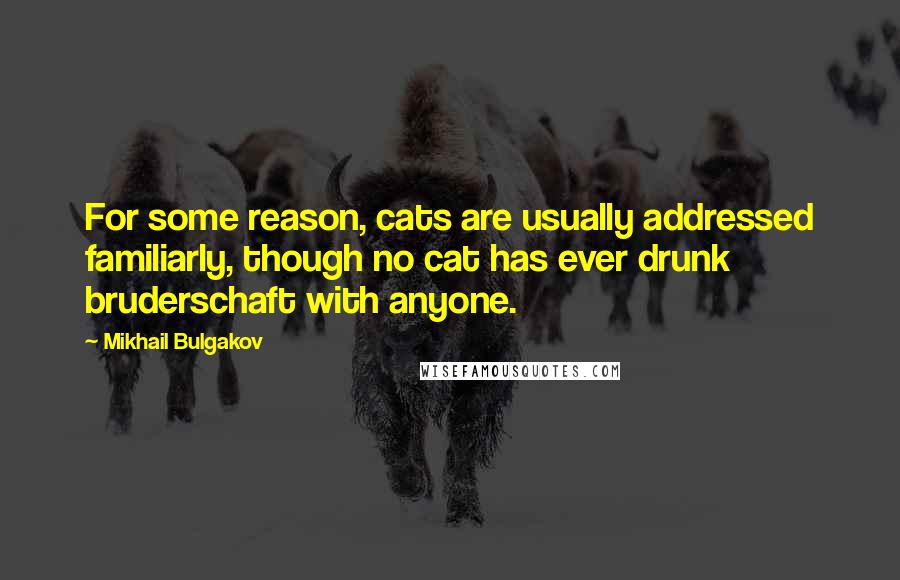 Mikhail Bulgakov quotes: For some reason, cats are usually addressed familiarly, though no cat has ever drunk bruderschaft with anyone.