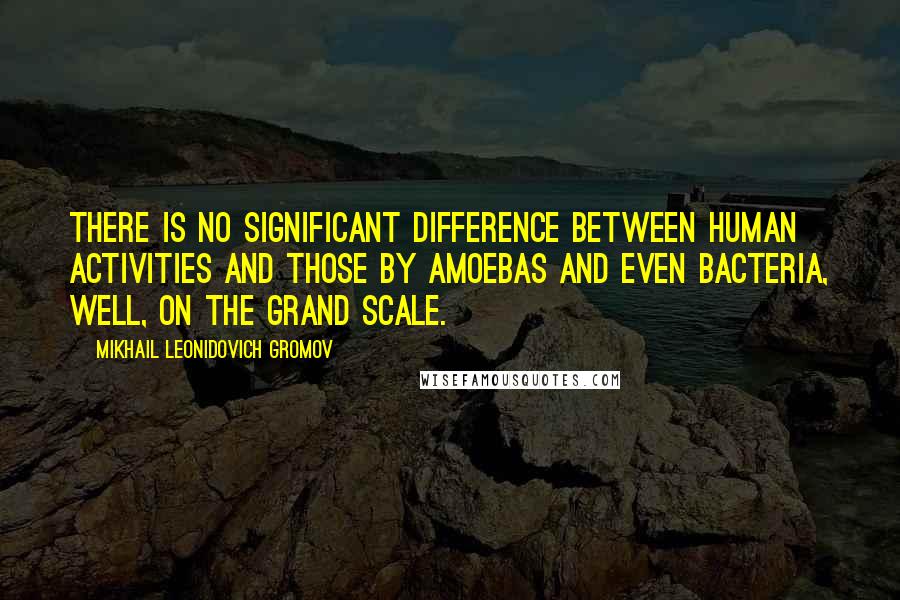 Mikhail Leonidovich Gromov quotes: There is no significant difference between human activities and those by amoebas and even bacteria, well, on the GRAND SCALE.